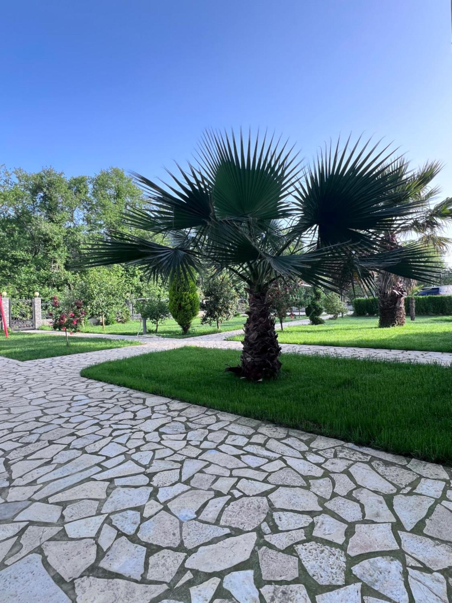 أولتْسي Residence Leora المظهر الخارجي الصورة